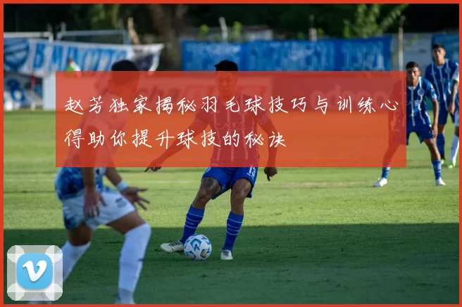 赵芳独家揭秘羽毛球技巧与训练心得助你提升球技的秘诀