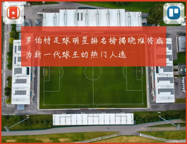 罗伯特足球明星排名榜揭晓谁将成为新一代球王的热门人选