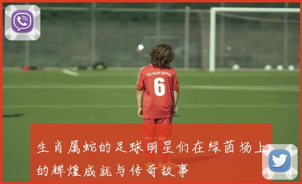 生肖属蛇的足球明星们在绿茵场上的辉煌成就与传奇故事