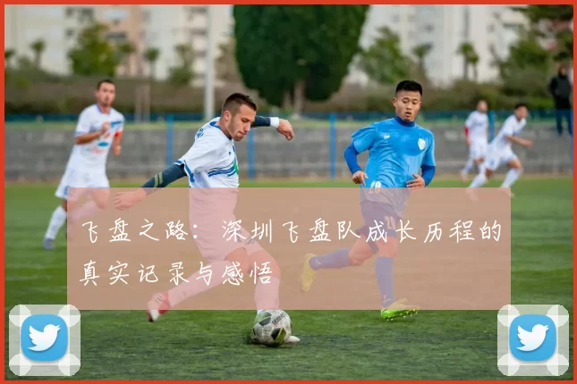 飞盘之路：深圳飞盘队成长历程的真实记录与感悟