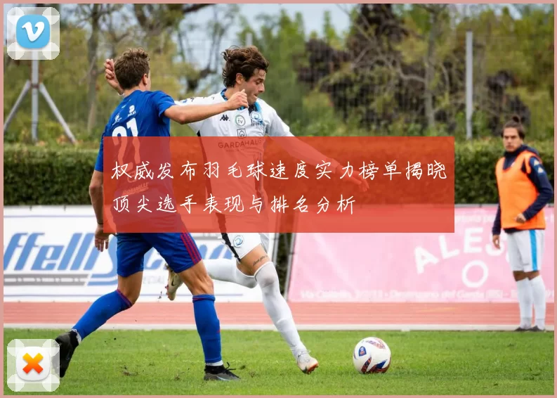 权威发布羽毛球速度实力榜单揭晓顶尖选手表现与排名分析