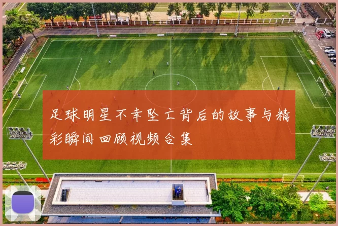 足球明星不幸坠亡背后的故事与精彩瞬间回顾视频合集
