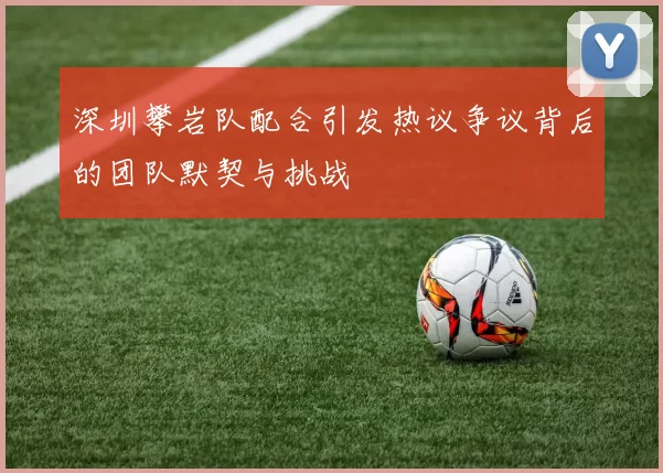 深圳攀岩队配合引发热议争议背后的团队默契与挑战
