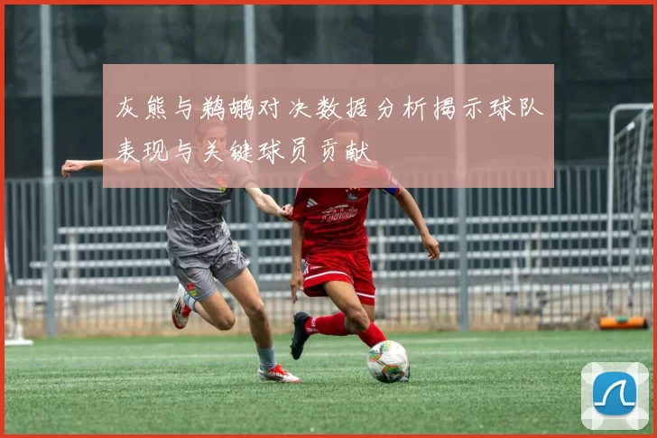 灰熊与鹈鹕对决数据分析揭示球队表现与关键球员贡献