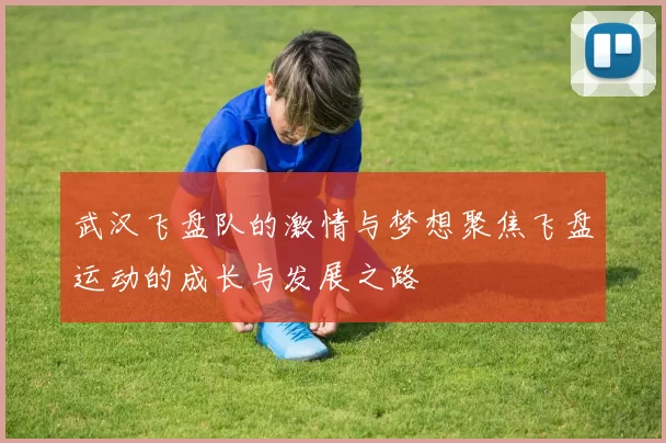 武汉飞盘队的激情与梦想聚焦飞盘运动的成长与发展之路
