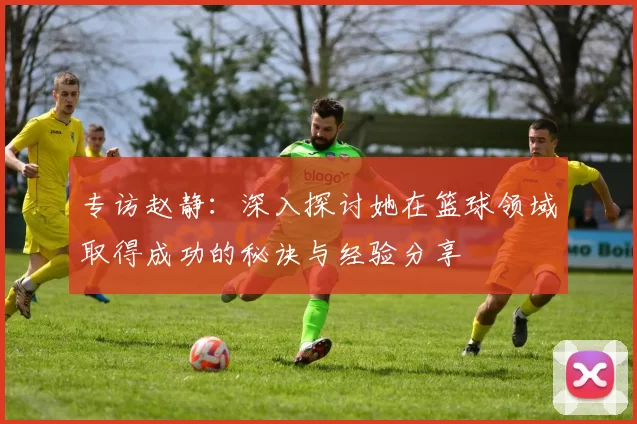 专访赵静：深入探讨她在篮球领域取得成功的秘诀与经验分享